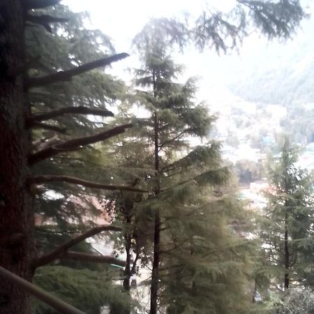 达兰萨拉 Himalayan Triund Trekking And Mountain View旅舍 外观 照片