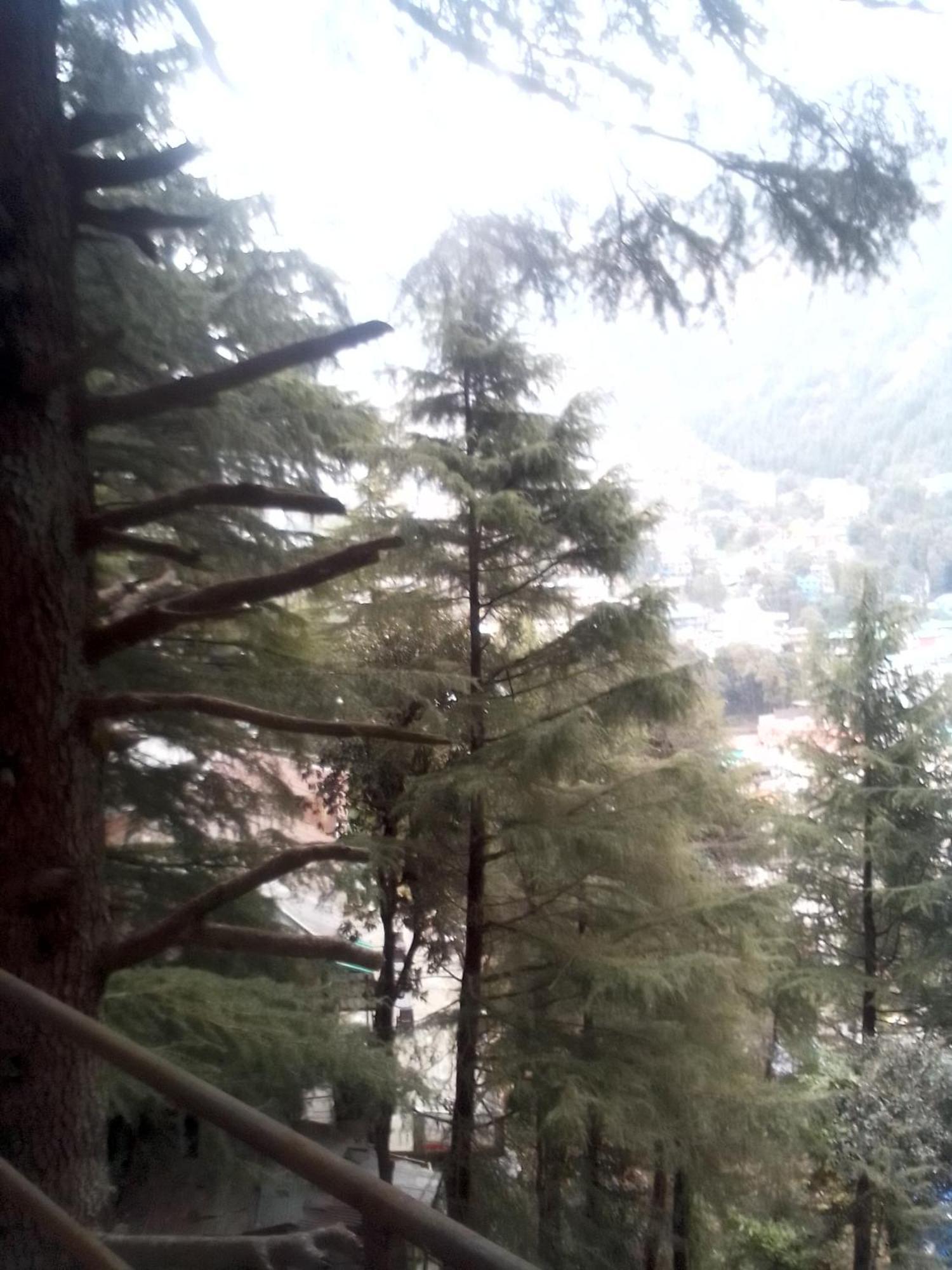 达兰萨拉 Himalayan Triund Trekking And Mountain View旅舍 外观 照片
