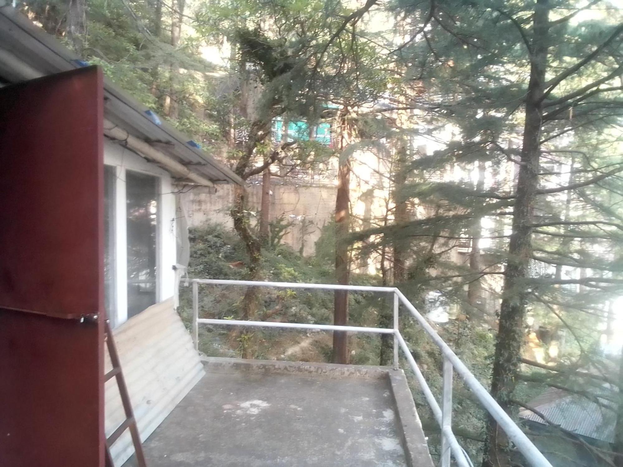 达兰萨拉 Himalayan Triund Trekking And Mountain View旅舍 外观 照片